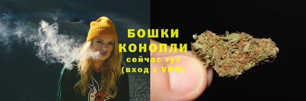прущие грибы Магас