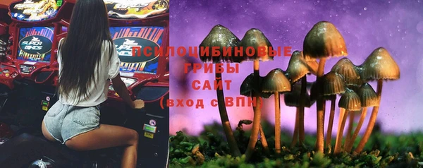MESCALINE Магадан