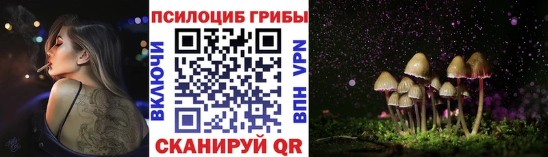 Псилоцибиновые грибы ЛСД  MEGA как войти  маркетплейс какой сайт  Шилка 
