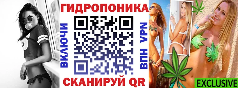где купить наркотик  MEGA зеркало  Шишки марихуана MAZAR  Шилка 